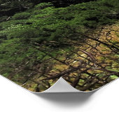 Poster Wellington (Coin)