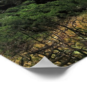 Poster Wellington Nouvelle-Zélande (Coin)