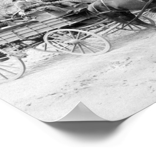 Poster Wells Fargo Express Company (Coin)