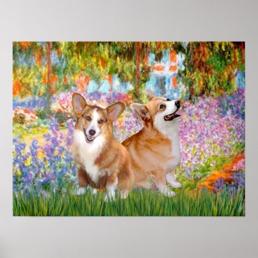 Poster Welsh Corgis (deux Ppembroke) - Jardin à Giverney (Devant)