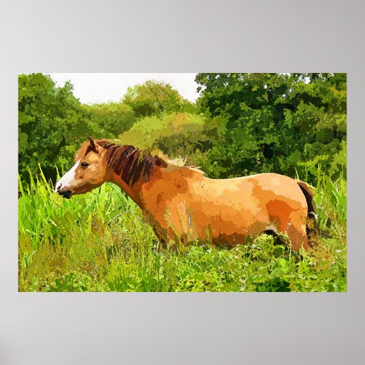 POSTER WELSH PONY (Devant)