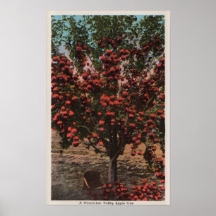 Poster Wenatchee, WAA Wenatchee Valley Apple Tree