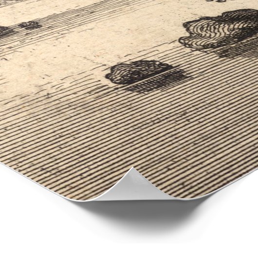 Poster Wenceslaus Hollar Imprimer : Paysage façonné (Coin)