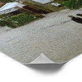 Poster Wernigerode (Allemagne) (vers 1900) (Coin)