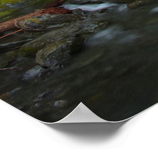 Poster West Fork Foss River Washington (Coin)