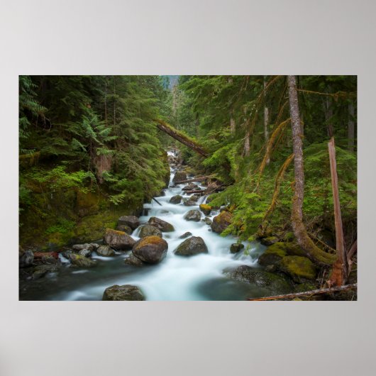 Poster West Fork Foss River Washington (Devant)