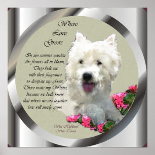 Poster West Highland White Terrier Art Imprimer