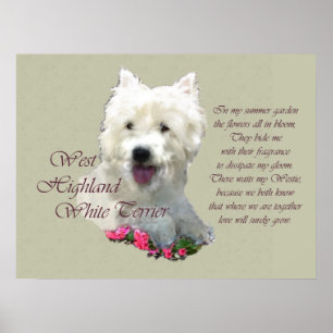 Poster West Highland White Terrier Art Print