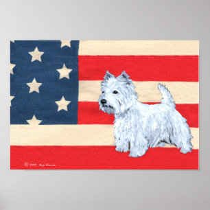 Poster West Highland White Terrier patriotique