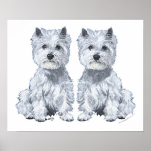 Poster West Highland White Terrier Twins !
