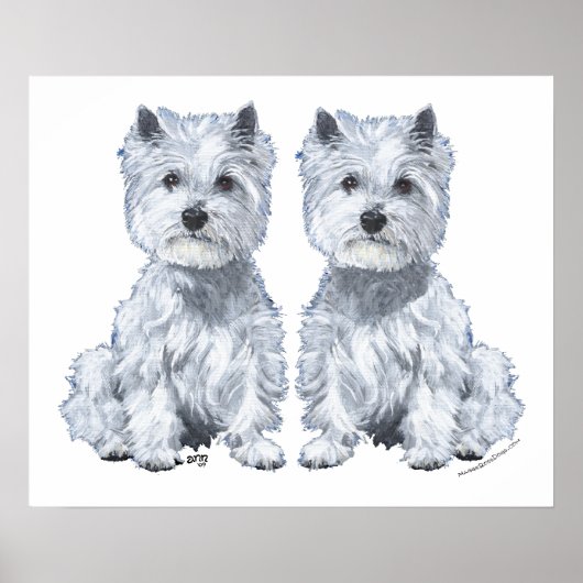Poster West Highland White Terrier Twins ! (Devant)