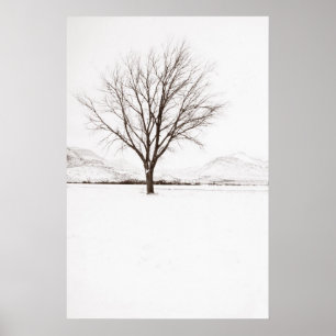 Poster West Texas BLizzard