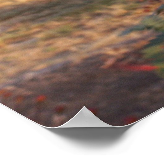 Poster West Texas Sunset (Coin)