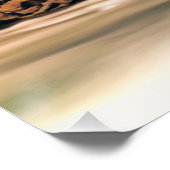 Poster West Virginia, Babcock State Park (Coin)