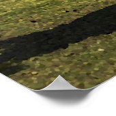 Poster Western Cowboy sur Palomino Horse (Coin)