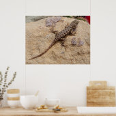 Poster Western Fence Lizard (Cuisine)