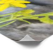 Poster Western Fence Lizard (Coin)