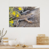 Poster Western Fence Lizard (Cuisine)