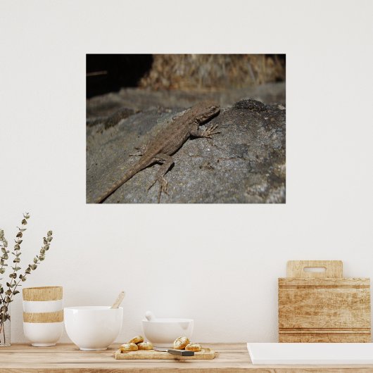 Poster Western Fence Lizard (Cuisine)
