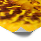 Poster Western Honey Bee Macro (Coin)