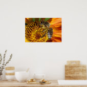 Poster Western Honey Bee Macro (Cuisine)