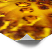 Poster Western Honey Bee Macro photo (Coin)