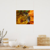 Poster Western Honey Bee Macro photo (Cuisine)