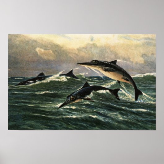 Poster western interior seaway (Devant)