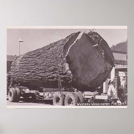 Poster Western Washington Fir Log circa 1940 (Devant)