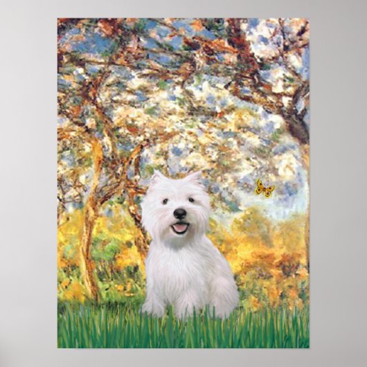 Poster Westie 2 - Printemps (Devant)