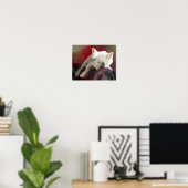 Poster Westie au repos (Bureau à domicile)