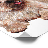 Poster Westie avec deux terriers Cairn (Coin)