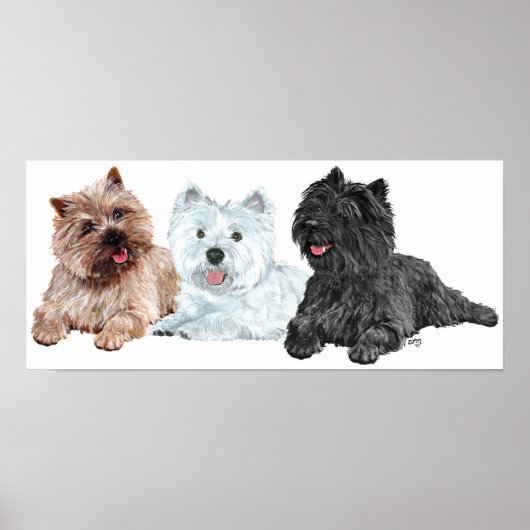 Poster Westie avec deux terriers Cairn (Devant)