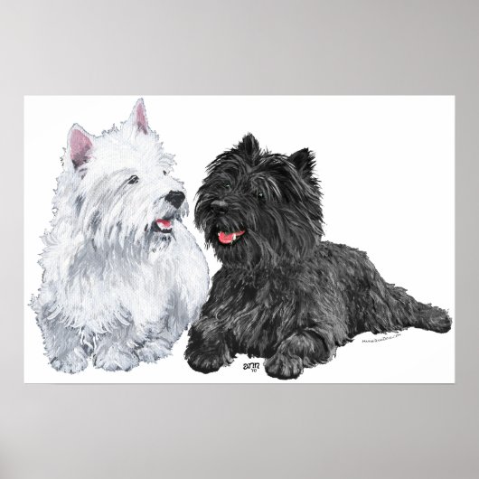Poster Westie avec un Terrier noir du Caire (Devant)