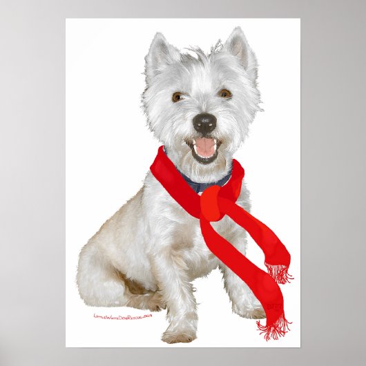 Poster Westie d'hiver dans une écharpe rouge (Devant)
