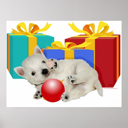 Poster Westie Puppy Christmas Playtime (Devant)