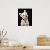 Poster Westie (West Highland terrier) avec col (Cuisine)