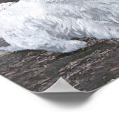 Poster Westies en Écosse (Coin)