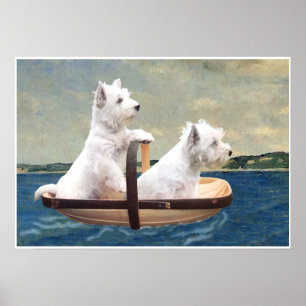 Poster Westies prennent la mer