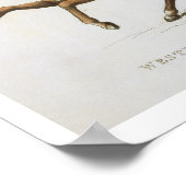 Poster Westminster Cavalry Volunteer, plaque 4 de 'Loyal (Coin)