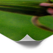 Poster Wet Dandelion (Coin)