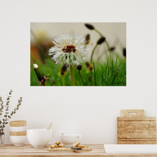 Poster Wet Dandelion (Cuisine)