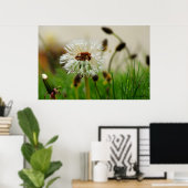 Poster Wet Dandelion (Bureau à domicile)