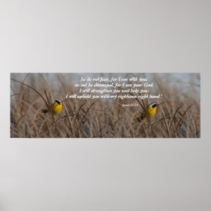 Poster Wetlands Birds Isaiah 41:10 Print