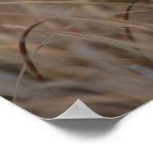 Poster Wetlands Birds Isaiah 41:10 Print (Coin)