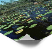 Poster Wetlands, Okefenokee National Wildlife Refuge (Coin)