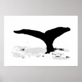 Poster Whale decorative (Devant)