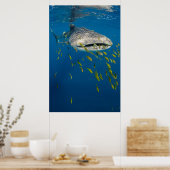 Poster Whale Shark with fish, Indonésie (Cuisine)