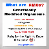 Poster - What Are GMOs? (Devant)