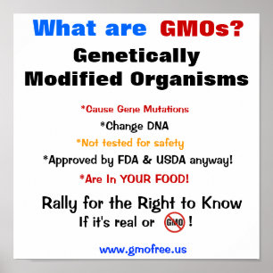 Poster - What Are GMOs?